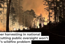Firefighters work to get a forest fire near Monroe, Utah, under control on July 24, 2025. Hurricane Valley Fire District via AP